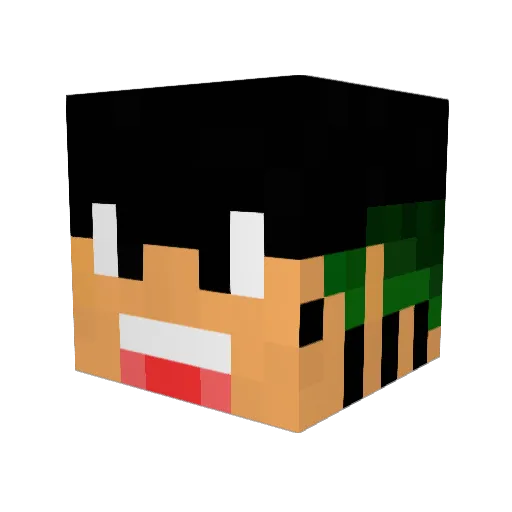 Xerxes97 Minecraft avatar head, 3D render