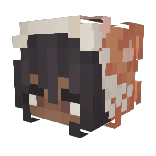 Xesophus Minecraft avatar head, 3D render