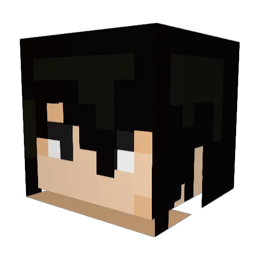 Xesta91 Minecraft avatar head, 3D render