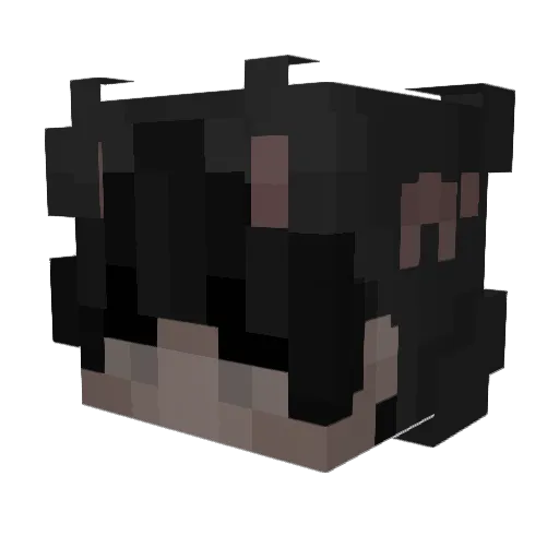 Xetop4 Minecraft avatar head, 3D render