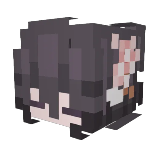 Xevierx Minecraft avatar head, 3D render