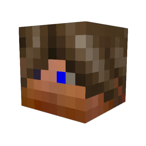 Xexar13 Minecraft avatar head, 3D render