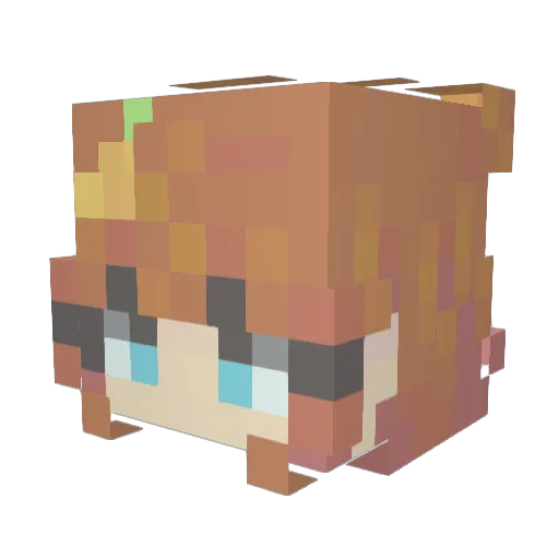 Xeyleves Minecraft avatar head, 3D render