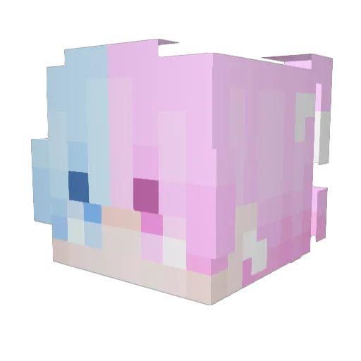 Xezoki Minecraft avatar head, 3D render