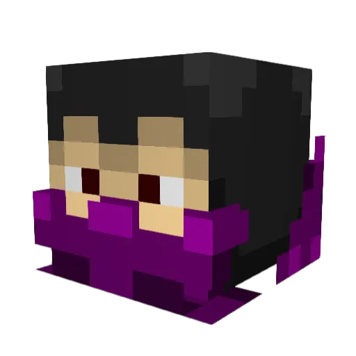Xfdr258 Minecraft avatar head, 3D render