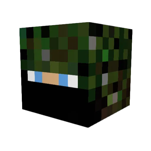 Xgamer454 Minecraft avatar head, 3D render