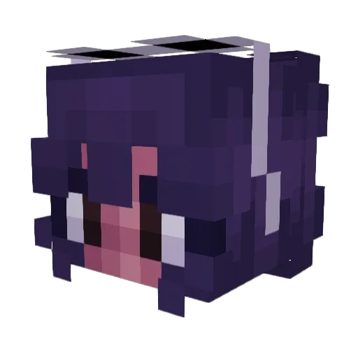 Xgirl19 Minecraft avatar head, 3D render