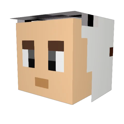 XhagGyY Minecraft avatar head, 3D render