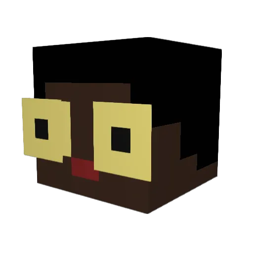 XhamiX12345 Minecraft avatar head, 3D render