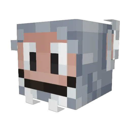 Xhoshi7 Minecraft avatar head, 3D render