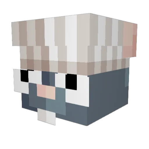 Xhuzt Minecraft avatar head, 3D render