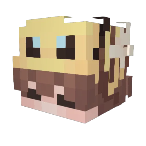 Xi0n_ Minecraft avatar head, 3D render