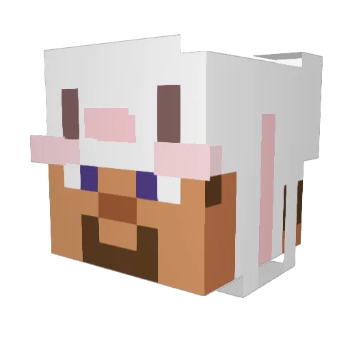 XiAoBaI27 Minecraft avatar head, 3D render