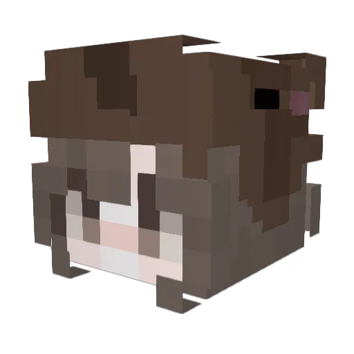 XiHuYO Minecraft avatar head, 3D render