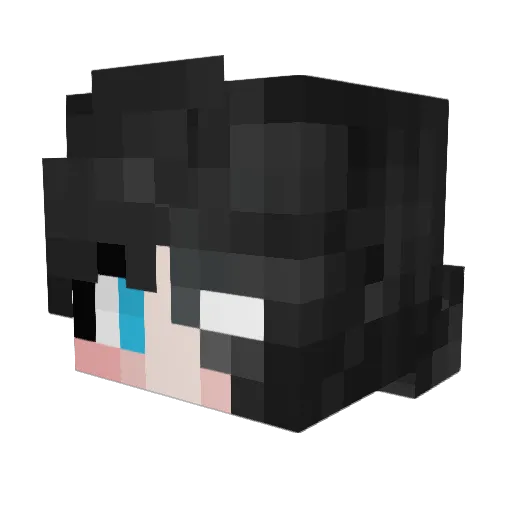 XiJNH Minecraft avatar head, 3D render