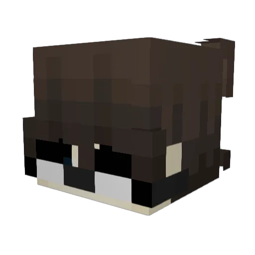 XiJinping4 Minecraft avatar head, 3D render