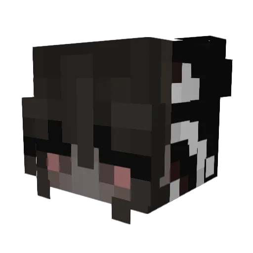 XiJinpingStan420 Minecraft avatar head, 3D render