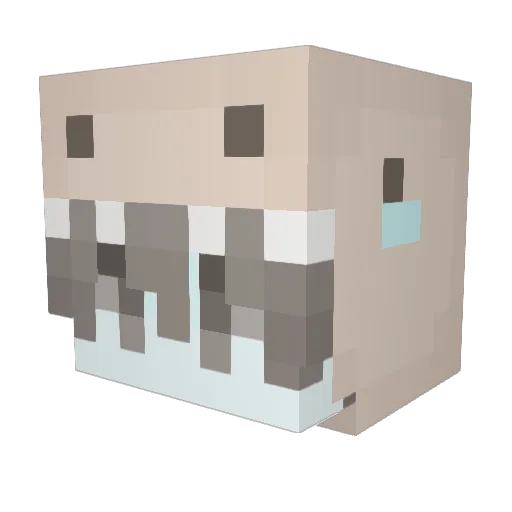 XiLin233 Minecraft avatar head, 3D render