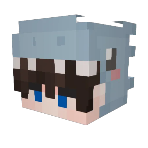 XiN2006 Minecraft avatar head, 3D render