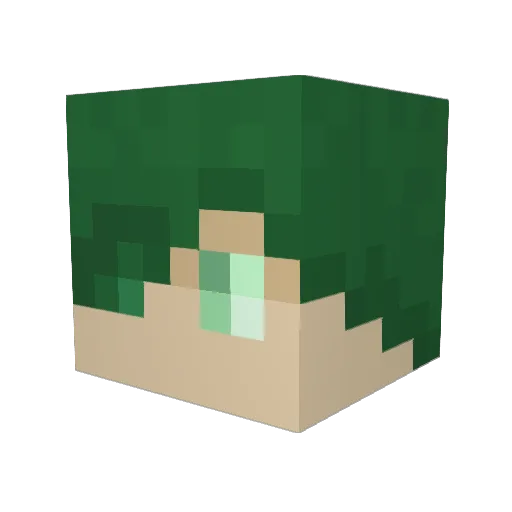XiRon346 Minecraft avatar head, 3D render
