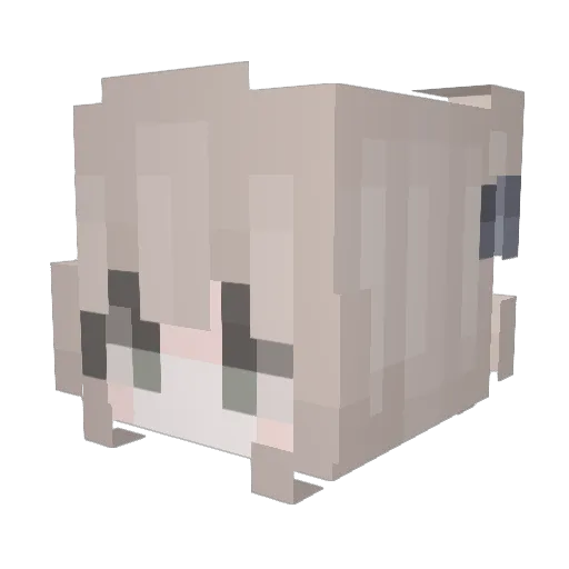 XiTan_ouo Minecraft avatar head, 3D render