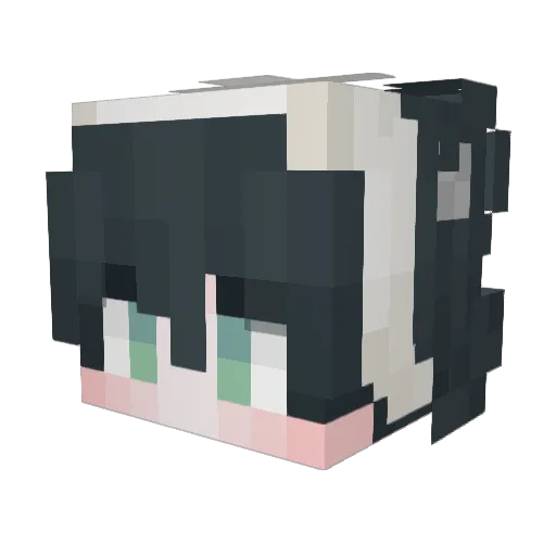 Xi__Han Minecraft avatar head, 3D render