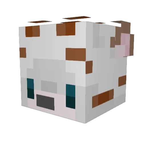XiaHa233 Minecraft avatar head, 3D render