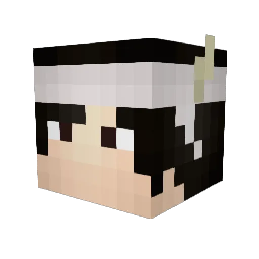 XiaJ8_Play5 Minecraft avatar head, 3D render