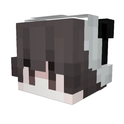 Xia_tian Minecraft avatar head, 3D render