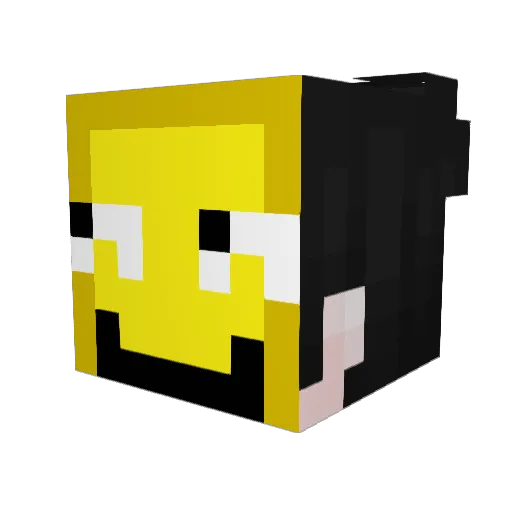 Xian1234567 Minecraft avatar head, 3D render