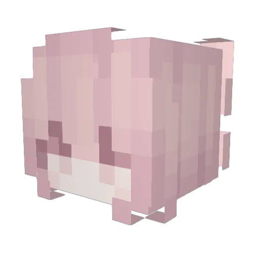XianDen Minecraft avatar head, 3D render