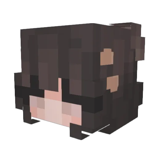 Xianglingxx Minecraft avatar head, 3D render