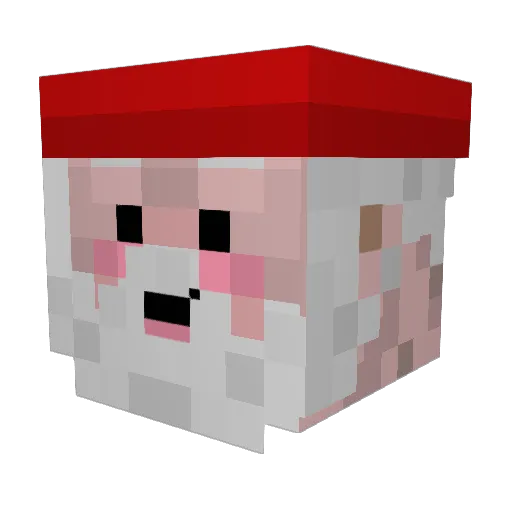 XiaoErLang18 Minecraft avatar head, 3D render