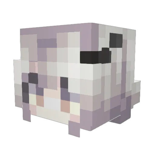 XiaoGuz Minecraft avatar head, 3D render