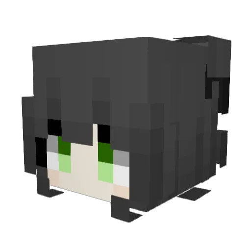 XiaoMuZhi12 Minecraft avatar head, 3D render