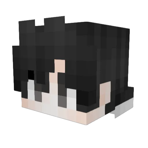 XiaoSnowYT_TW Minecraft avatar head, 3D render