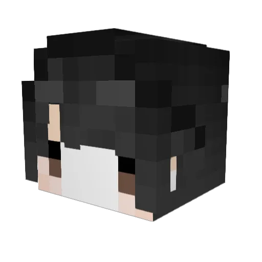 XiaoTing0316 Minecraft avatar head, 3D render