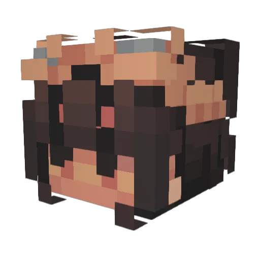 XiaoYang_0_0 Minecraft avatar head, 3D render