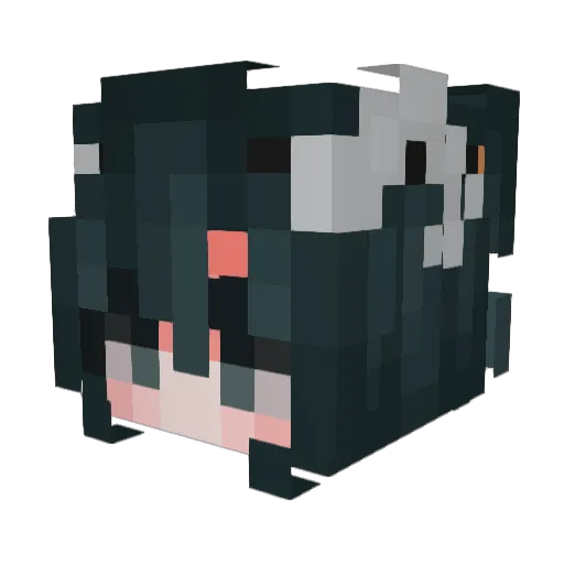 XiaoYuan__MC Minecraft avatar head, 3D render
