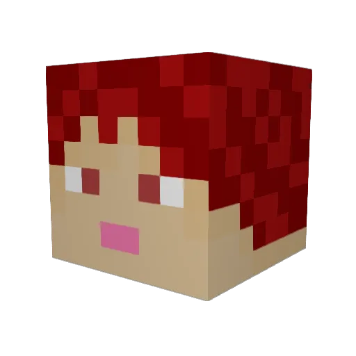 XiaoZhao365 Minecraft avatar head, 3D render