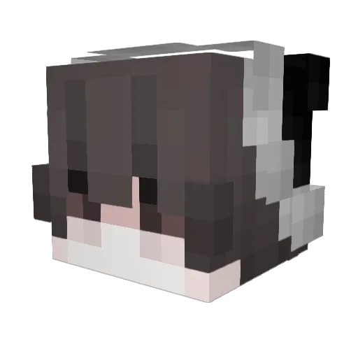 Xiao_L0v0 Minecraft avatar head, 3D render