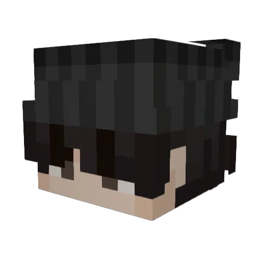 Xiao_Xi9 Minecraft avatar head, 3D render