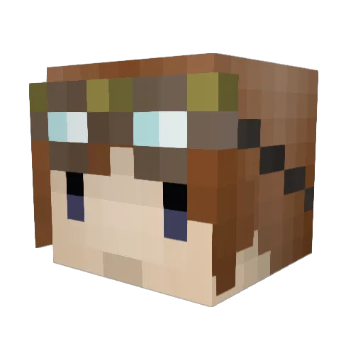Xiao_weiwei Minecraft avatar head, 3D render