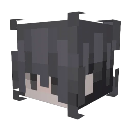Xiaopiao520 Minecraft avatar head, 3D render