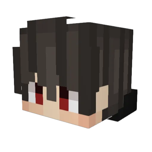 Xiaoxin_521 Minecraft avatar head, 3D render
