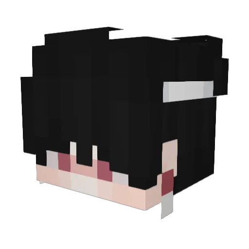 Xienonx Minecraft avatar head, 3D render