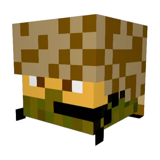 XiiBradders Minecraft avatar head, 3D render