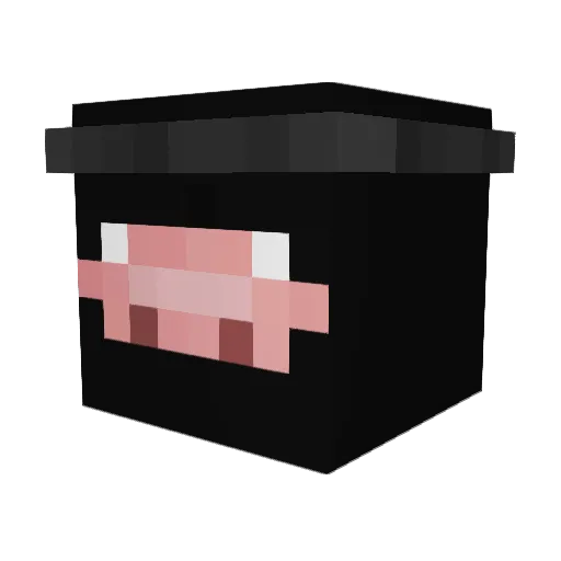 Xiixfn Minecraft avatar head, 3D render
