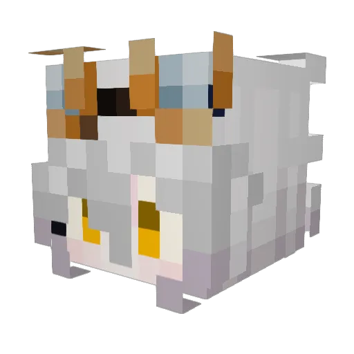 XilaPiton Minecraft avatar head, 3D render