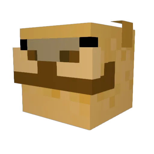 Xilef01 Minecraft avatar head, 3D render